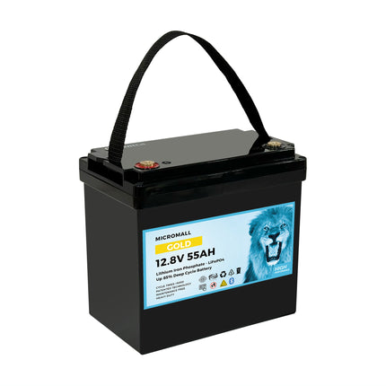 12V 50Ah 55Ah Lithium Battery LiFePO4 Battery Deep Cycle Battery Solar Battery - 01 gold.jpg