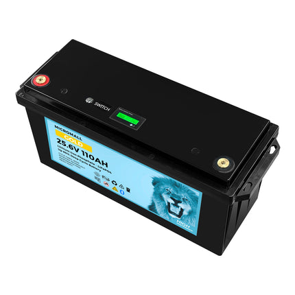 24V 100Ah 110Ah Lithium Battery LiFePO4 Battery Deep Cycle Battery Solar Battery - 02 6910c183-84d6-4616-9113-00488cc111ca-13778.jpeg