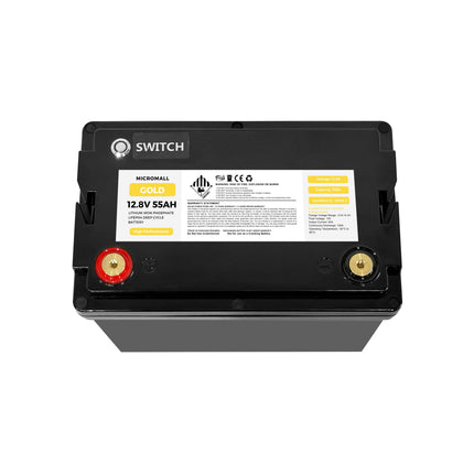 12V 50Ah 55Ah Lithium Battery LiFePO4 Battery Deep Cycle Battery Solar Battery - 02e884b8-84d0-7718-8813-3d8a4f4e0c1e-13778.jpeg