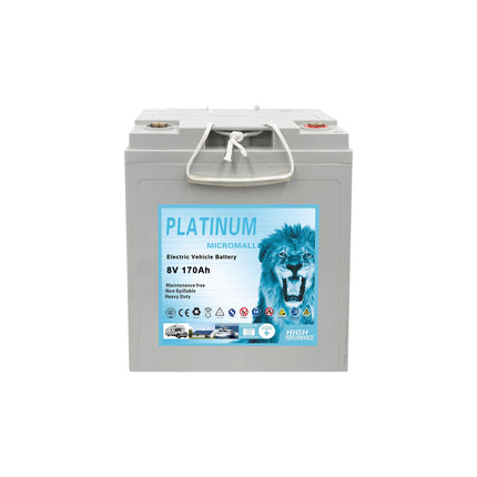 8V 170Ah Golf Cart Battery Electric Vehicle Battery Gel Battery X6 - 0766de3c-a91b-cac5-68d8-843a4c93c5c6-13778.jpeg
