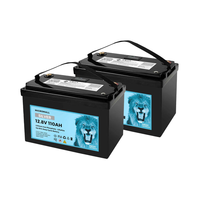 Silver 12V 100Ah 110Ah Lithium Battery LiFePO4 Battery Deep Cycle Battery X2