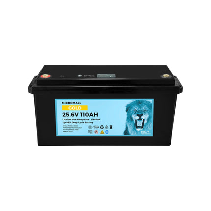 24V 100Ah 110Ah Lithium Battery LiFePO4 Battery Deep Cycle Battery Solar Battery