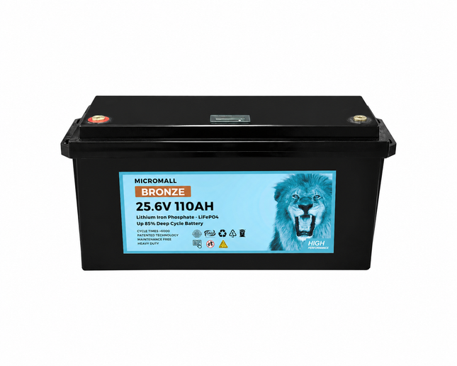 Micromall 24V 100Ah 110Ah Lithium Battery Bronze LiFePO4 Battery Deep Cycle Battery