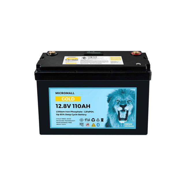 12V 100Ah 110Ah Lithium Battery LiFePO4 Battery with BMS Bluetooth CATL Cells X2 - 28d02256-2164-4823-30ee-f19e8b8fad49-13778.jpeg