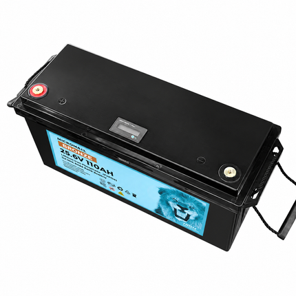 Micromall 24V 100Ah 110Ah Lithium Battery Bronze LiFePO4 Battery Deep Cycle Battery