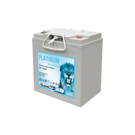 8V 170Ah Golf Cart Battery Electric Vehicle Battery Gel Battery X6 - 34ef1522-922e-b7bd-9562-2a3ef32e28ee-13778.jpeg