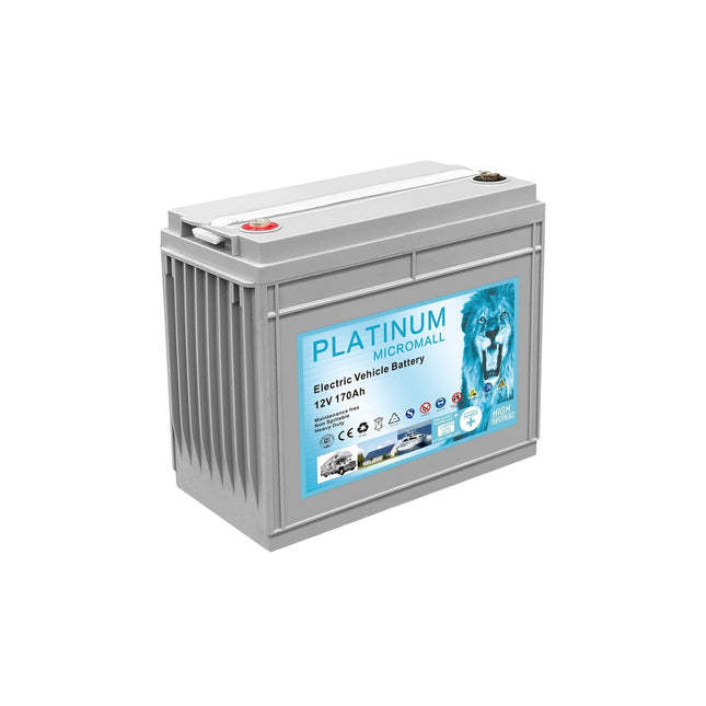 12V 170Ah Golf Cart Battery Full Gel Maintenance Free T1275 Deep Cycle
