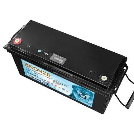 SRNE 5KW 48V 100A Single Phase Off-Grid Solar Kit with LiFePO4 Battery - 03 - 12 24V110B2.jpg