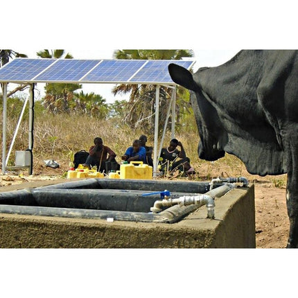 Submersible Solar Power Pump System 750W Solar Pump - 83e14f87-a313-da85-32ab-9dfa4be5003b-13778.jpeg