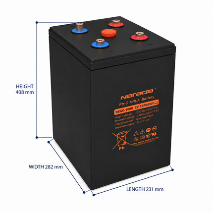 BTN-2V1000-P dimensions: length 231 mm, width 282 mm, height 408 mm