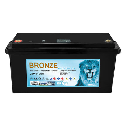 SRNE 5KW 48V 100A Single Phase Off-Grid Solar Kit with LiFePO4 Battery - 03 - 11 24V110B.jpg