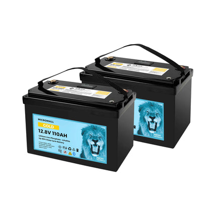 12V 100Ah 110Ah Lithium Battery LiFePO4 Battery with BMS Bluetooth CATL Cells X2