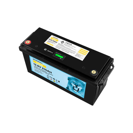 12V 200Ah 210Ah Lithium Battery LiFePO4 Battery Deep Cycle Solar Battery X2 - e2ce17f7-a277-f27f-0a8c-aed2d249df8d-13778.jpeg
