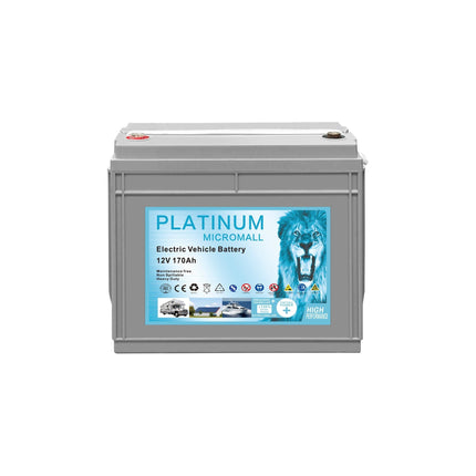 12V 170Ah Golf Cart Battery Full Gel Maintenance Free T1275 Deep Cycle - e8787a97-ccbe-8cf0-ce99-072f41f0a7d6-13778.jpeg