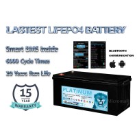 12V 310Ah Lithium Iron Phosphate (LiFePO4) Battery with 4 BMS & Bluetooth