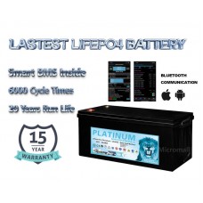 12V 310Ah Lithium Iron Phosphate (LiFePO4) Battery with 4 BMS & Bluetooth