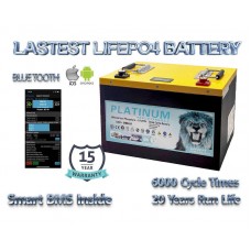 12V 160Ah Lithium Iron Phosphate LiFePO4 Battery with 4 BMS & Bluetooth 2024