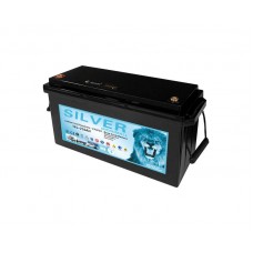 2024 12V 210Ah Silver LiFePO4 Battery Deep Cycle Solar Battery
